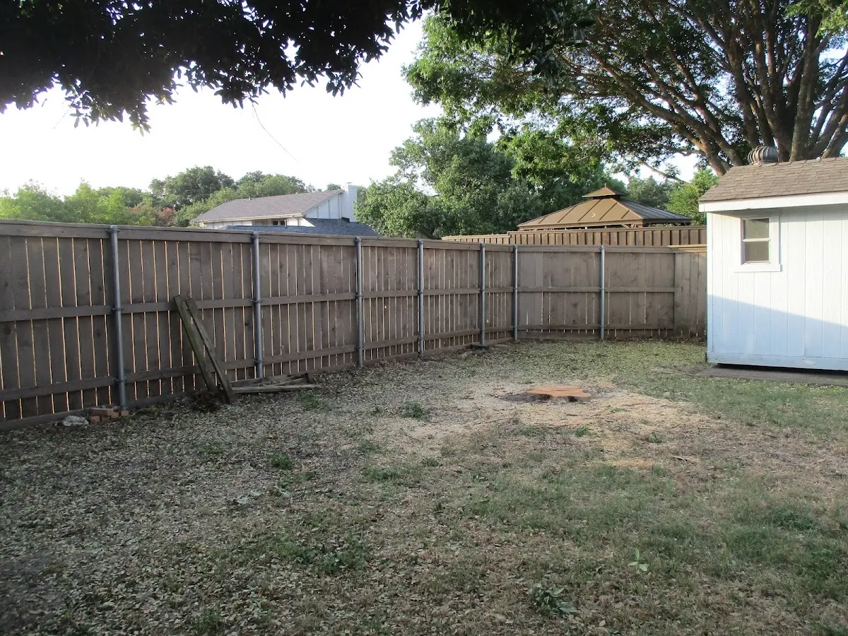 Cleared yard after professional tree removal in Winchester